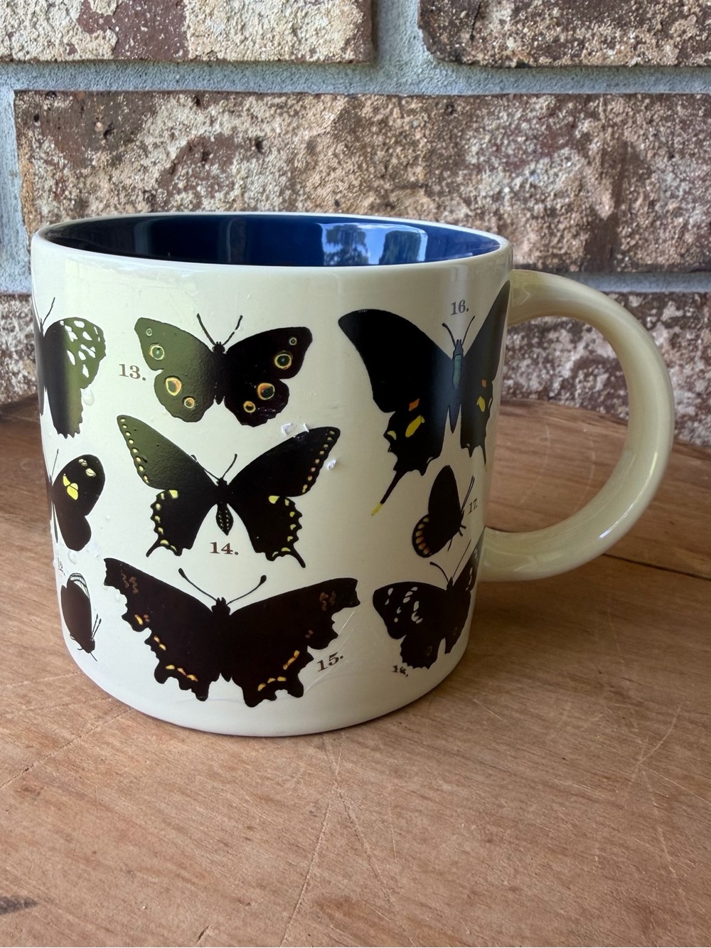 Unemployed Philosophers Guild Butterfly Heat Changing Mug Beautiful Condition!